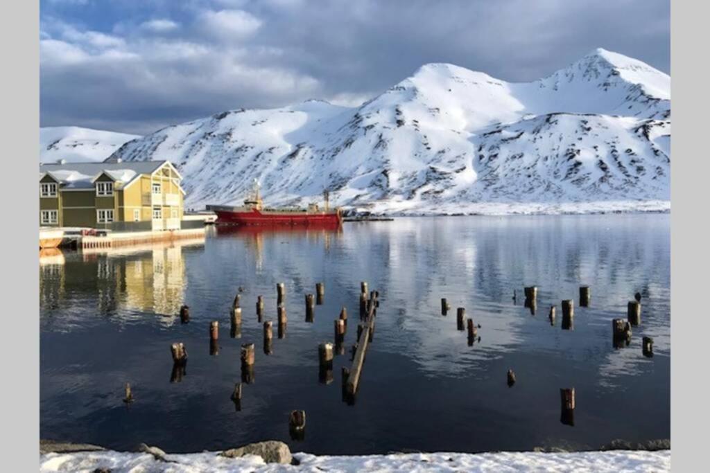 House With A Warm Soul In North Iceland Siglufjordur Exteriör bild